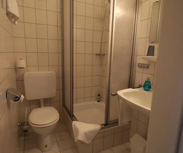 酒店 Berghof Albersweiler